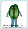 watermelon mascot costume fruit costume
