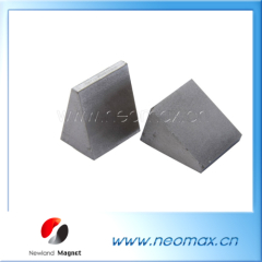 sepcial shape neodymium magnets