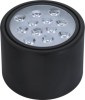 12w warm white LED down lamp