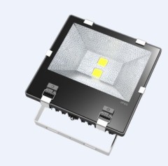 COB Finned-style LED Flood Light 100W