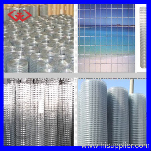 hot-dipped galvanized welded wire mesh