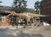 Amusement equipment dinosaur model
