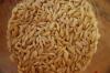 Orzo use for bread, milk and all other food additives