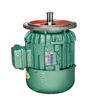 Standard Conical Rotor Three-Phase Asynchronous Motor For Crane , IP44