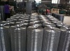 Galvanized Welded Wire Mesh