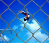 Chain Link Fence (DJ-180)