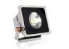 High Flux 30W DC24V 3000lm Led Projector Lights RA80 Waterproof