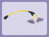 American Adapter Cord with extension purpose