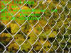 Chain Link Fence for playground