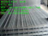 stainless steel welded wire mesh