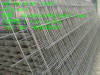 welded wire netting(professional manufacturer)