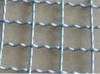 galvanized .crimped wire mesh