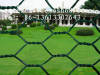 Galvanized Hexagonal Wire Mesh