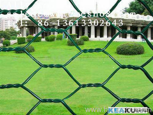 Hexagonal Twisted Wire Mesh