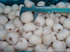 New Crop Frozen Iqf Lychee Whole