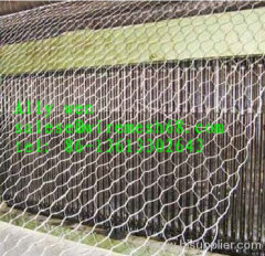 Perforated Metal Mesh/Punch holes net