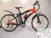 electric bicycle pioneer for sale
