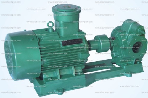 Electric Gear Oil Pump For Diesel And Gasoline Transfer With Rotary Gear Pump