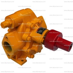 Electric Gear Oil Pump