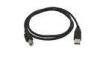 A Male to B Male USB 2.0 Extension Cable