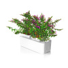 2013 new technology products smart mini garden