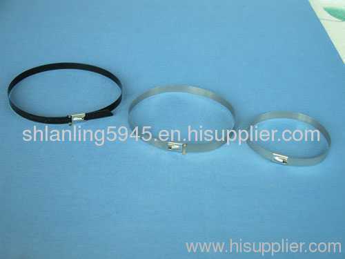 Stainless steel cable tie