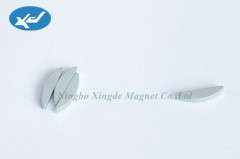 special shaped Sintered NdFeB magnets strong magnet permanent magnet