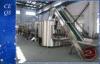 Automatic Plastic Bottle Unscrambler Machine 24000 b/h , 24 PCS Station