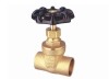 gate valves, valve, brass valve