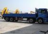 Commercial Articulated Boom Crane with 11m Lifting Height