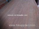 Gurjan Rotary Cut Veneer , Face / Back Natural Wood Veneer For Plywood