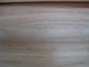 Natural 0.55mm Radiata Pine Rotary Cut Veneer Wild Grain For Furniture