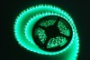 Green Waterproof 3528 smd LED Strip lights 12V
