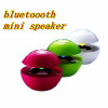 bluetooth mini speaker support TF
