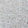Interior Wall 300x300mm White Sea Shell Mosaic Tile Backsplash Eco-Friendly