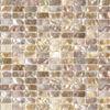 10x20mm Natural Seashell / River Shell Mosaic Tile For Bathroom Wall
