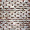 Decorative Natural River Shell Mosaic Tile