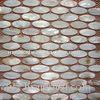 Decorative Natural River Shell Mosaic Tile