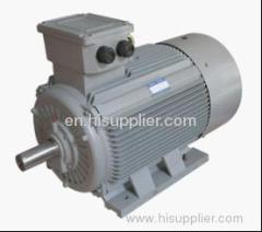 Y2 Series Cast Iron Three Phase Asynchronous Induction Motor