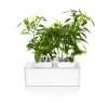 Hot selling flowerpot 2012 grow light hydroponic wholesale mini smart garden