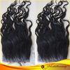 1B# 14 Inch Shiny Wavy Top Closure Human Hair With No Shedding