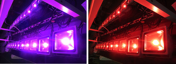 50w RGB Color changing led flood lights with remote control