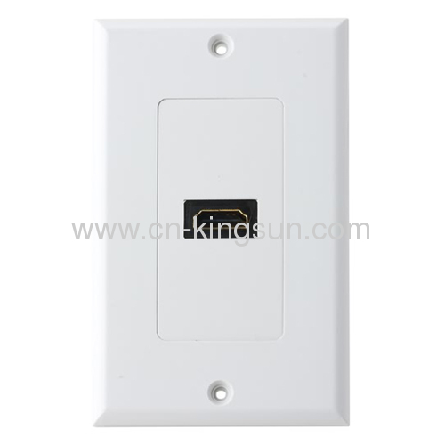 Audio/Video Wall Plate