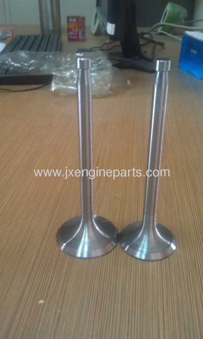 Diesel engine R175A.S1110ENGINE VALVE 