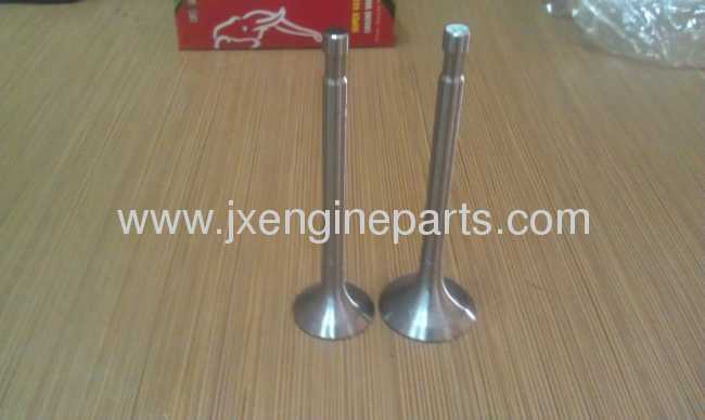 Diesel engine R175A.S1110 ENGINE VALVE