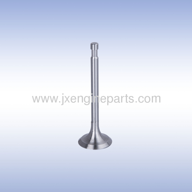 Diesel engine R175A.S1110 ENGINE VALVE