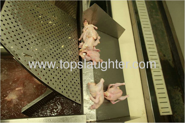 Poultry processing equipment water chilling machine