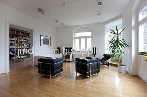 Le Corbusier petit chair, classic sofa, living room sofa, home furniture, sofa, furniture
