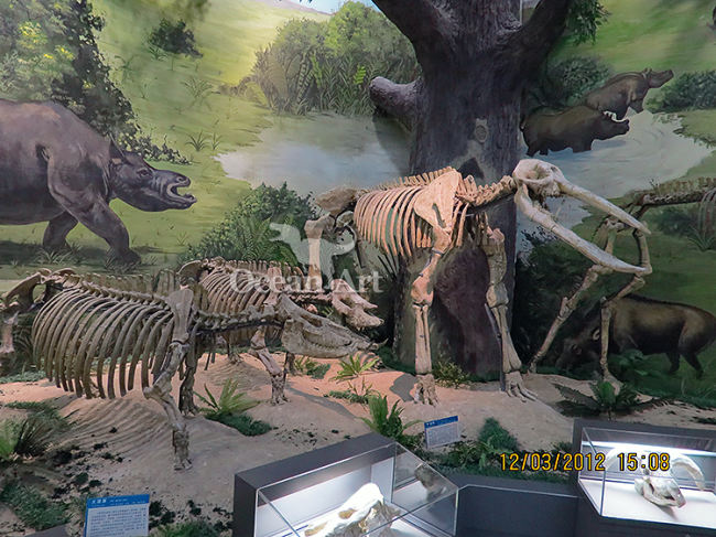 Prehistoric Simulation Animal Skeleton Model