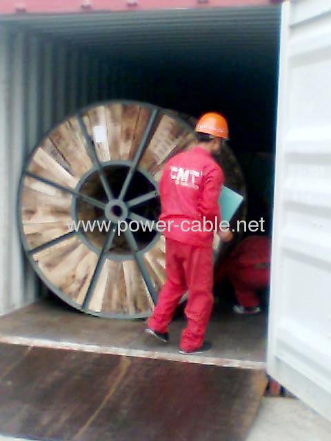  6/10KV AL Conductor XLPE Insulated 1x50mm power cable